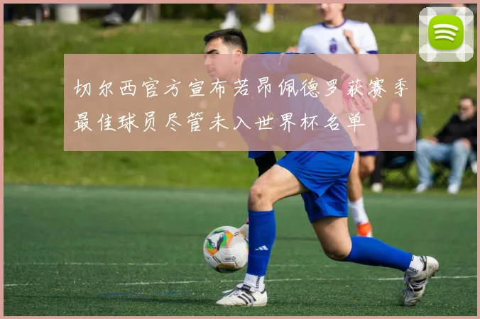 切尔西官方宣布若昂佩德罗获赛季最佳球员尽管未入世界杯名单