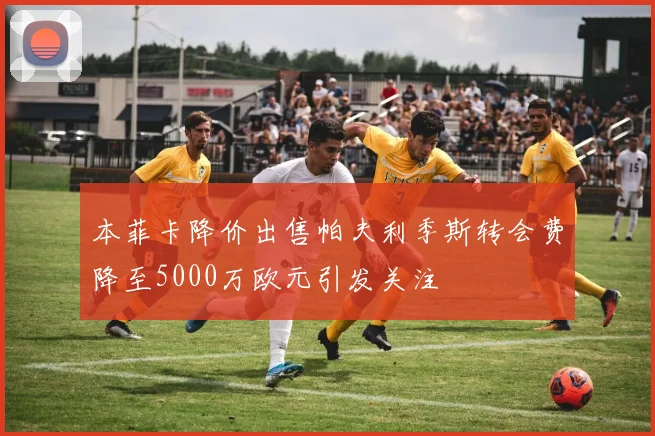本菲卡降价出售帕夫利季斯转会费降至5000万欧元引发关注